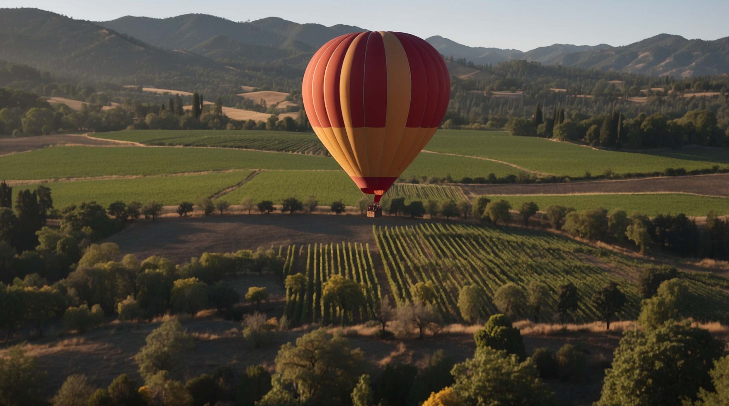 Napa Valley Hot Air Balloon Ride: Guide