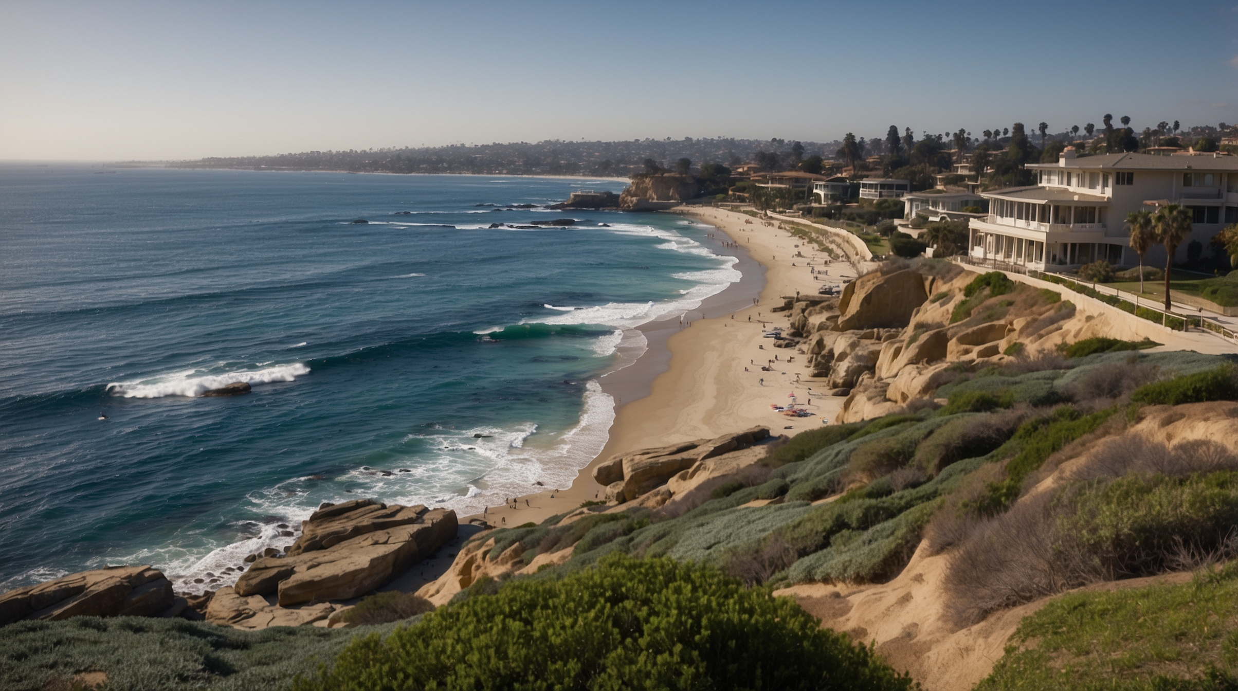 La Jolla Cove San Diego: Snorkeling & Wildlife Guide