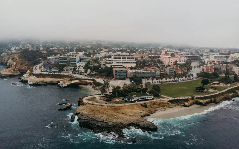 La Jolla Cove sea lions