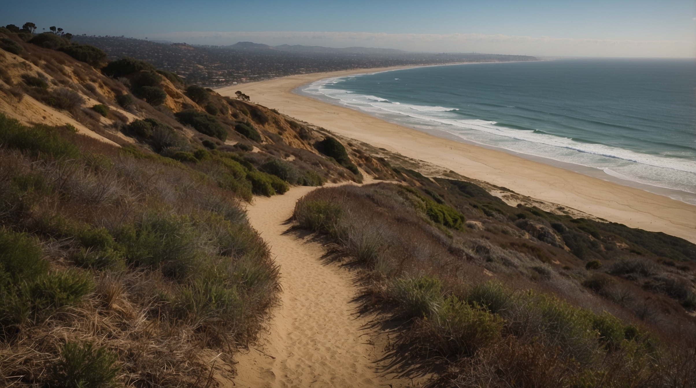 Torrey Pines State Natural Reserve: Hiking Guide San Diego travel photography