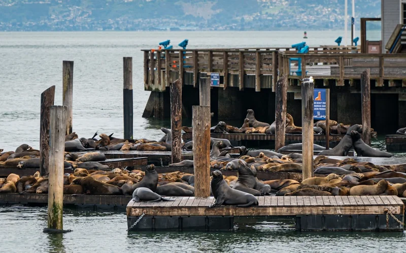 Fishermans Wharf San Francisco