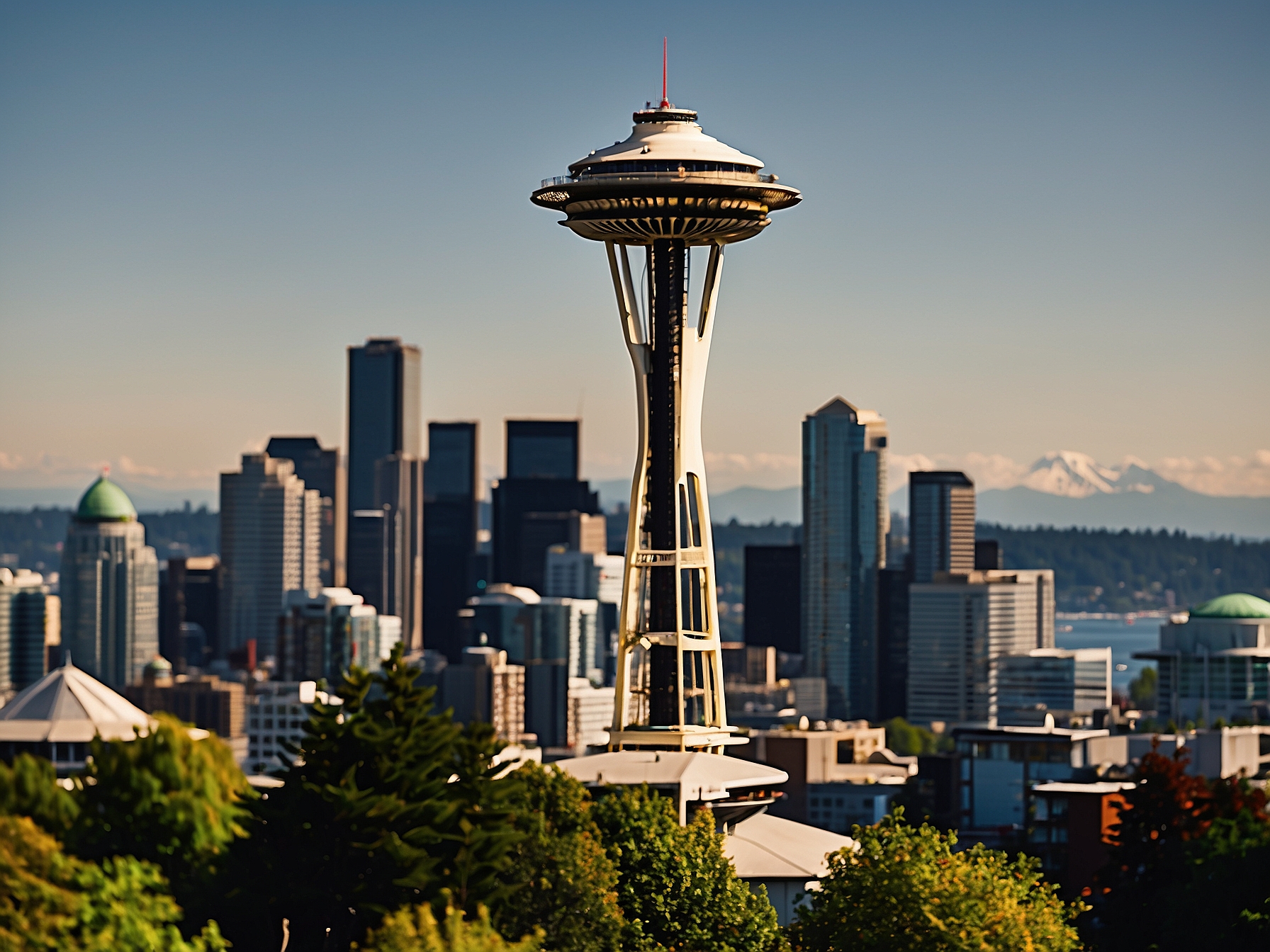 Key feature of Space Needle Seattle in Seattle