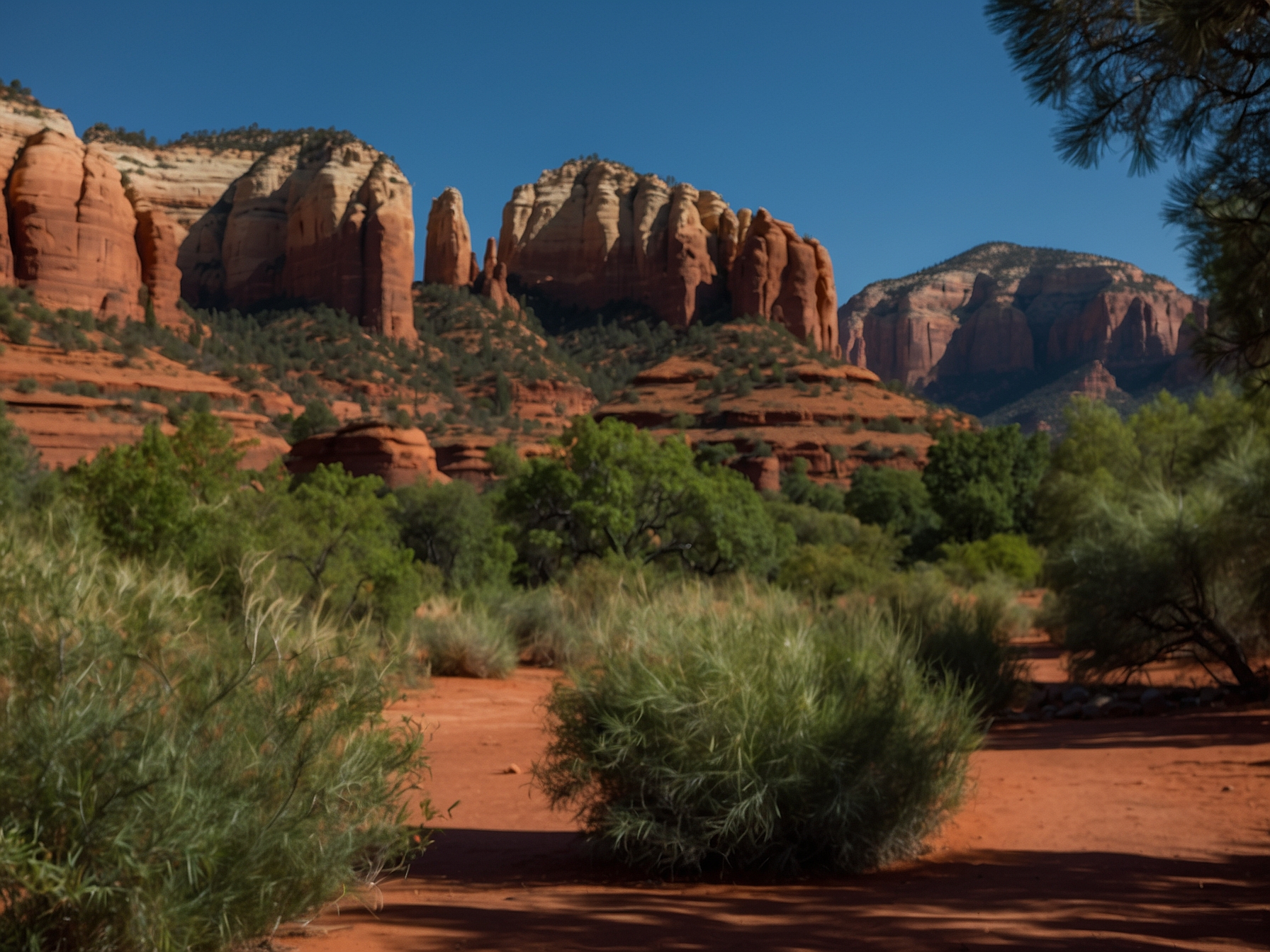 Environment at Sedona vortex tour in Sedona